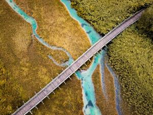 Anja Strojan - Prečkanje